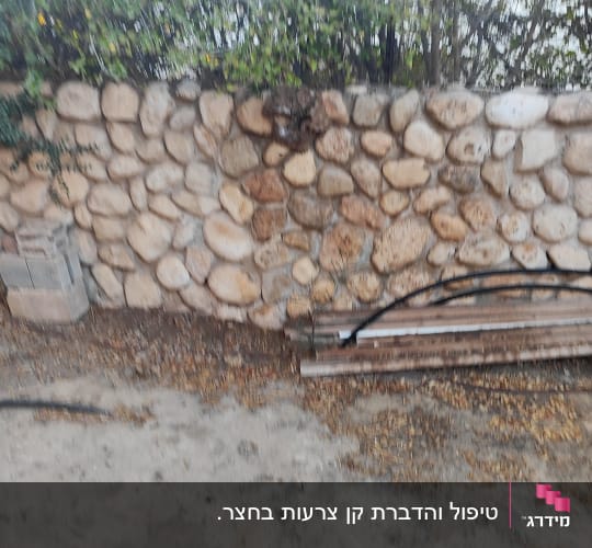 טיפול והדברת קן צרעות בחצר.